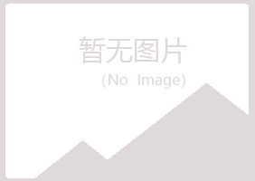 江西埋没音乐有限公司